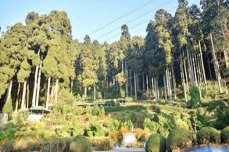 Great offers on Darjeeling and Gangtok family tour packages by NTHolidays Madurai