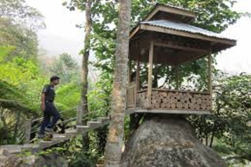 Best budget travel deals to Darjeeling and Gangtok from Madurai by NTHolidays
